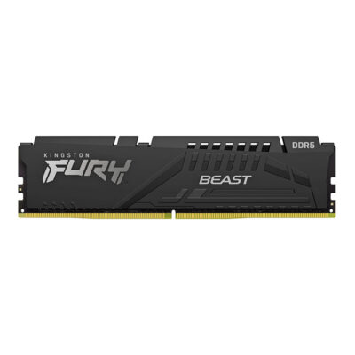 Kingston Beast Series Ddr5 6000/6400 Desktop Memory Module